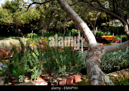 Malta, die Gaia Foundation, Gärtnerei Stockfoto