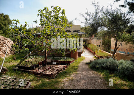 Malta, die Gaia Foundation, Gärtnerei Stockfoto