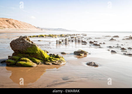 Eine ruhige Küstenszene bei Ebbe mit moosbedeckten Felsen, die über einen nassen Sandstrand verstreut sind. Im Vordergrund befindet sich eine markante Felsformation mit leuchtenden grünen Algen oder Moos, teilweise Stockfoto
