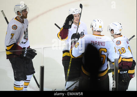 Rosemont, Illinois, USA. 18. April 2015. Chicago Wolves Teamkollegen feiern nach seinem Tor in der American Hockey League-Spiel zwischen den Milwaukee Admirals und die Chicago Wolves in der Allstate Arena in Rosemont, Illinois. Patrick Gorski/CSM/Alamy Live-Nachrichten Stockfoto