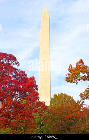 Washington Monument umgeben von Bäumen im Herbst Laub. Stockfoto