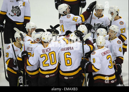 Rosemont, Illinois, USA. 18. April 2015. Chicago Wolves feiern nach dem Gewinn der American Hockey League-Spiel zwischen den Milwaukee Admirals und die Chicago Wolves in der Allstate Arena in Rosemont, Illinois. Patrick Gorski/CSM/Alamy Live-Nachrichten Stockfoto