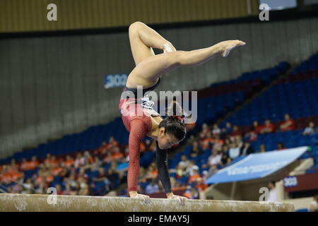 Fort Worth, Texas, USA. 17. April 2015. IVANA HONG konkurriert auf Balken für Stanford University während der Vorrunde der 2015 NCAA Frauen Gymnastik-Meisterschaften. © Amy Sanderson/ZUMA Wire/ZUMAPRESS.com/Alamy Live-Nachrichten Stockfoto