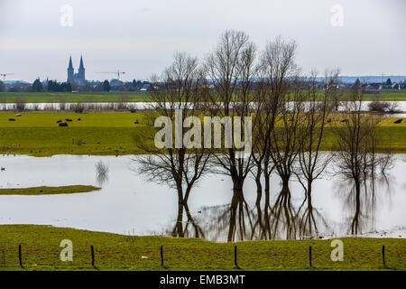 Überschwemmten Wiesen entlang Schiffe Rhein, Niederrhein, Fracht, Stockfoto