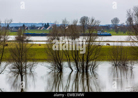 Überschwemmten Wiesen entlang Schiffe Rhein, Niederrhein, Fracht, Stockfoto