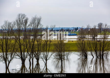 Überschwemmten Wiesen entlang Schiffe Rhein, Niederrhein, Fracht, Stockfoto