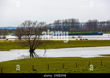 Überschwemmten Wiesen entlang Schiffe Rhein, Niederrhein, Fracht, Stockfoto