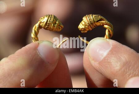 Archäologen entdecken Sie Beute von alten Goldschmuck an eine thrakische Grabstätte in besser, Bulgarien. Eine Beute von einem 2.400 - Jahre alten goldenen Artefakte wurden entdeckt, während weitere Ausgrabungen in einem antiken thrakischen Grab in der bulgarischen Dorf besser rund 300 Kilometer Norden östlich der Hauptstadt Sofia. Laut Archäologe Diana Gergova die Artefakte stammen aus dem Ende des vierten oder Anfang des dritten Jahrhunderts v. Chr. Die Funde sind rund 180 Goldschmuck mit Reliefs von Löwen, Fantasy Tiere und viele andere noch ungescannt. Zwei Jahren in der Nähe von diesem Ort Prof. Gergo Stockfoto