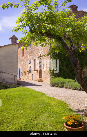 Ein typisches altes Bauernhaus mit Garten in der Toskana, Italien Stockfoto