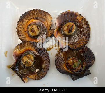 Lima, Peru.  Jakobsmuscheln in Rotweinsauce, Larco Museum Restaurant. Stockfoto