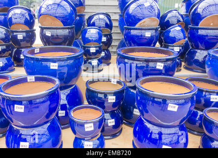 Blaue Pflanze Töpfe St. Johns Pflanzenzentrum Clacton auf Meer Essex UK Stockfoto