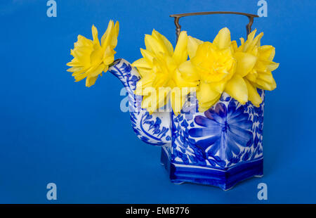 Doppelzimmer Narzisse Blüten in chinesischen Tee Pot Präsentation Stockfoto