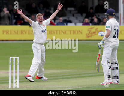 Jamie Porter plädiert für ein Wicket - 19.04.2015 Chelmsford, Essex. LV County Championship - Essex-CCC gegen Kent CCC. Aktion an der Essex County Ground, Chelmsford, Essex. Stockfoto