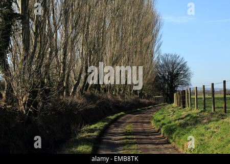 Dirt Track Vergangenheit pemsey Farm, Brabourne Lees, Ashford, Kent, England Stockfoto