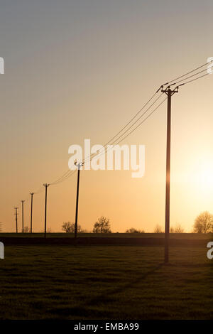 Strom/Telegrafenmasten im goldenen Sonnenuntergang bilden eine Linie in die Ferne Stockfoto