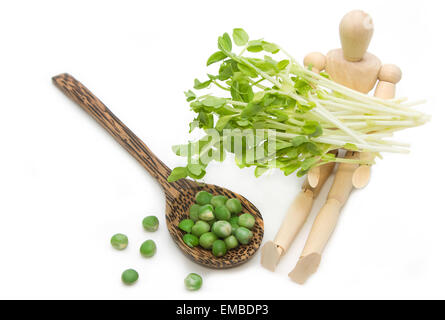 Grüne Erbsen und Snow Pea Sprossen auf Holzmodell, gesundes grünes Gemüse für eine Diät Stockfoto