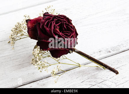 Getrocknete rote rose Blume mit Schleierkraut Hochzeit Knopfloch Andenken auf weißem Holz Hintergrund Stockfoto
