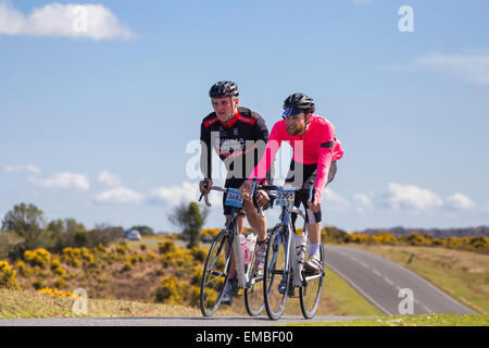 Zwei männliche Radfahrer konkurrieren in den New Forest wackeln sportlichen Event an einem sonnigen Sonntag im Frühling Stockfoto