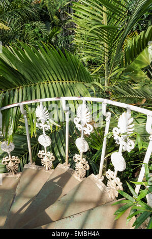Innenausstattung des Palm House in The Kew Gardens, London England Großbritannien Stockfoto