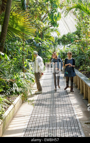 Besucher des Innern des Palm House in The Kew Gardens, London England Großbritannien Stockfoto