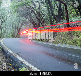 Auto Lichtspuren auf Waldweg Stockfoto