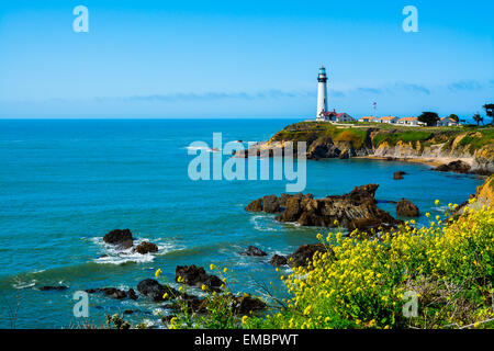 Pigeon Point Lighthouse Stockfoto