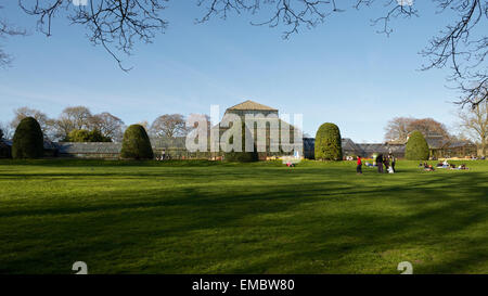 Botanische Gärten, Glasgow, Schottland, UK Stockfoto