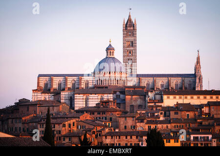 Duomo (Kathedrale, Siena, Toskana, Italien. Stockfoto