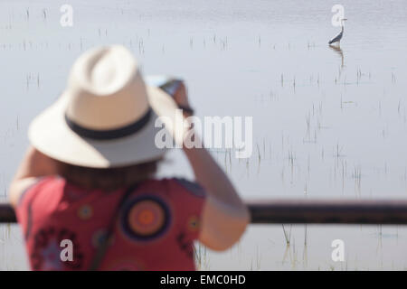 Reife Frau mit Hut ein Graureiher im Donana Nationalpark zu beobachten Stockfoto