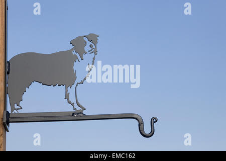 Schmiedeeisen Border Collie Hund Kleiderhaken Stockfoto