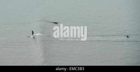 Eine Surfer reitet eine Welle aus einem Set an Saunton Beackh auf einem Longboard, Devon, UK Stockfoto