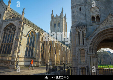 Die Kathedrale von Bury St Edmunds, Blick auf die St. Edmundsbury Cathedral mit (rechts) aus dem 11. Jahrhundert Normannischer Turm in Bury St. Edmunds, Suffolk, Großbritannien. Stockfoto