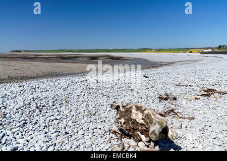 Aberthaw Strand, Glamorgan Heritage Coast, Vale von Glamorgan, South Wales, UK. Stockfoto