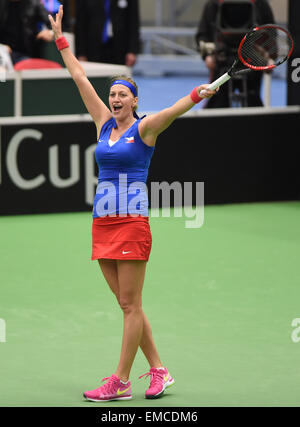 Ostrava, Tschechische Republik. 19. April 2015. Tschechischer Tennisspieler, die Petra Kvitova feiert nach dem Sieg des Halbfinale gegen Tschechische Republik vs. Frankreich Fed-Cup-Spiel gegen Caroline Garcia in Ostrava, Tschechische Republik, 19. April 2015. © Jaroslav Ozana/CTK Foto/Alamy Live-Nachrichten Stockfoto