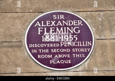 Eine Tafel zum Gedenken an Sir Alexander Fleming Penicillin im St. Marien Hospital Paddington 1928 zu entdecken. Stockfoto