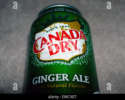 Eine Dose Canada Dry Ginger ale. Stockfoto