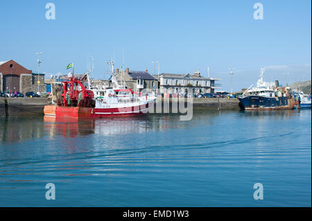 Angelboote/Fischerboote im Hafen von Howth, Irland Stockfoto