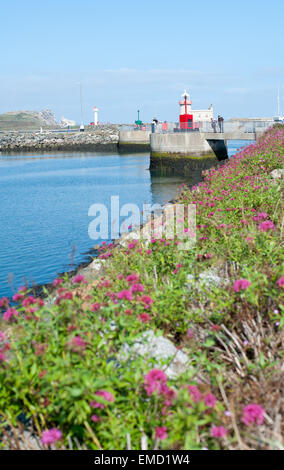 Schöne Aussicht auf Sommer Hafen und Leuchtturm in Howth, Dublin, Irland Stockfoto