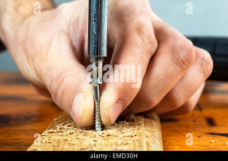 Schließen Up eines Tischlers ein Scharnier auf ein Holzbrett geschraubt Stockfoto