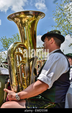 Bayerische Blasmusik Musiker gold Basstuba in Miesbach 1. Maifeiertag-Maibaum Stockfoto