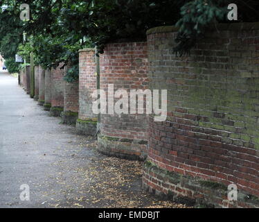 Gebogene Wand genannt Crinkle Crankle Wand dünn ohne Strebepfeiler ein Ziegelstein gebaut würde umfallen, wenn in gerader Linie gebaut Stockfoto