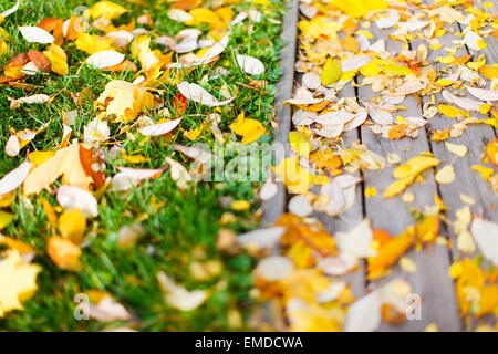 Bunte Herbst Laub auf Boden Stockfoto