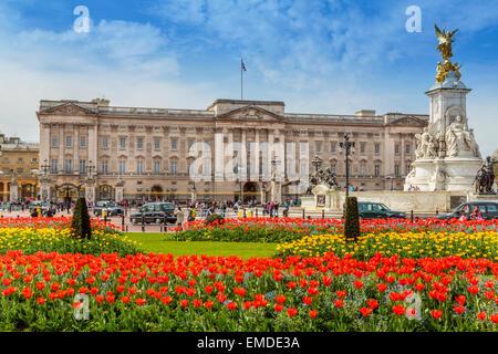 Eine Landschaft Blick auf den Buckingham Palace im Frühling, Westminster, London, England, Großbritannien