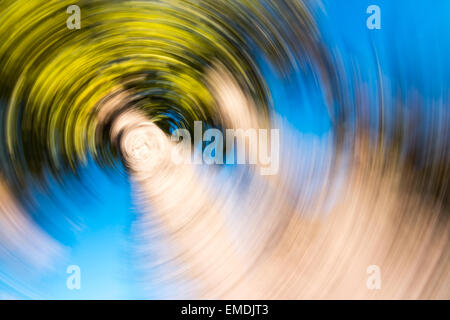 Palme radial blur. Stockfoto