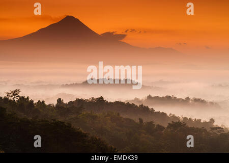 Dschungellandschaft im Morgengrauen in der Nähe von Borobudur Tempel. Magelang, Java. Indonesien, Asien. Stockfoto