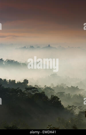 Dschungellandschaft im Morgengrauen in der Nähe von Borobudur Tempel. Magelang, Java. Indonesien, Asien. Stockfoto