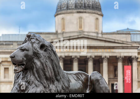 Der Trafalgar Square Löwen mit der National Gallery im Hintergrund Stockfoto