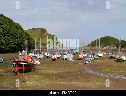 Watermouth-Bucht in der Nähe von Ilfracombe Watermouth Hafen Stockfoto