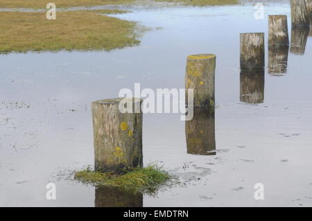 Nord-Devon betrachtet die Begrenzungspfähle überflutet Northam Burrows Westward Ho! Stockfoto