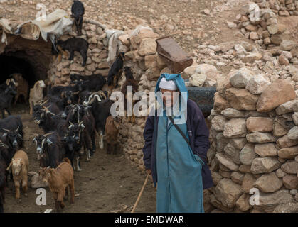 Nomadische Berber, Leben in Höhlen in den zentralen hohen Atlas-Gebirge in der Nähe von Jebel Talouit (Berg).  Bewegen mit ihren Schafen und gehen Stockfoto